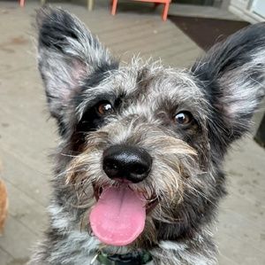 Meet your Posher, Bekah